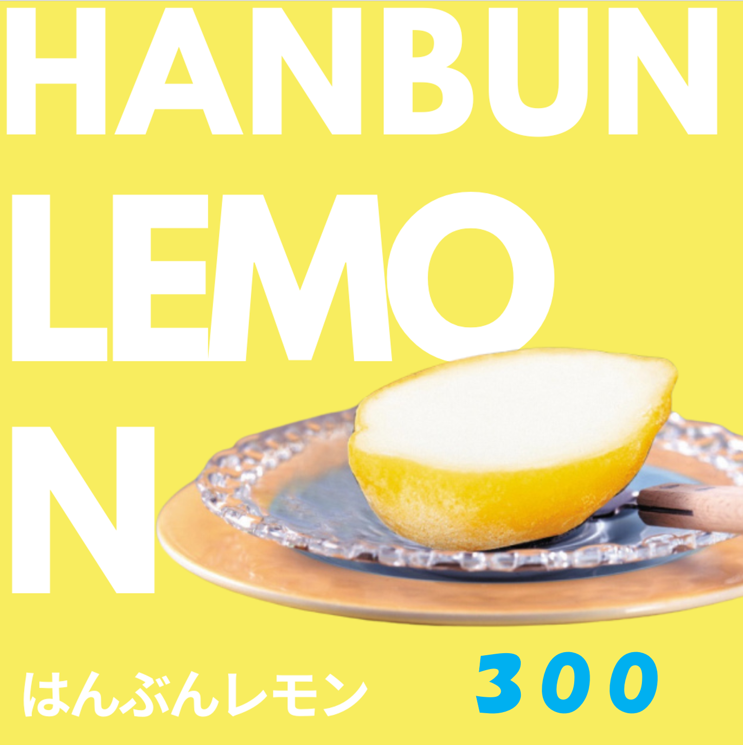 jihan_12.png